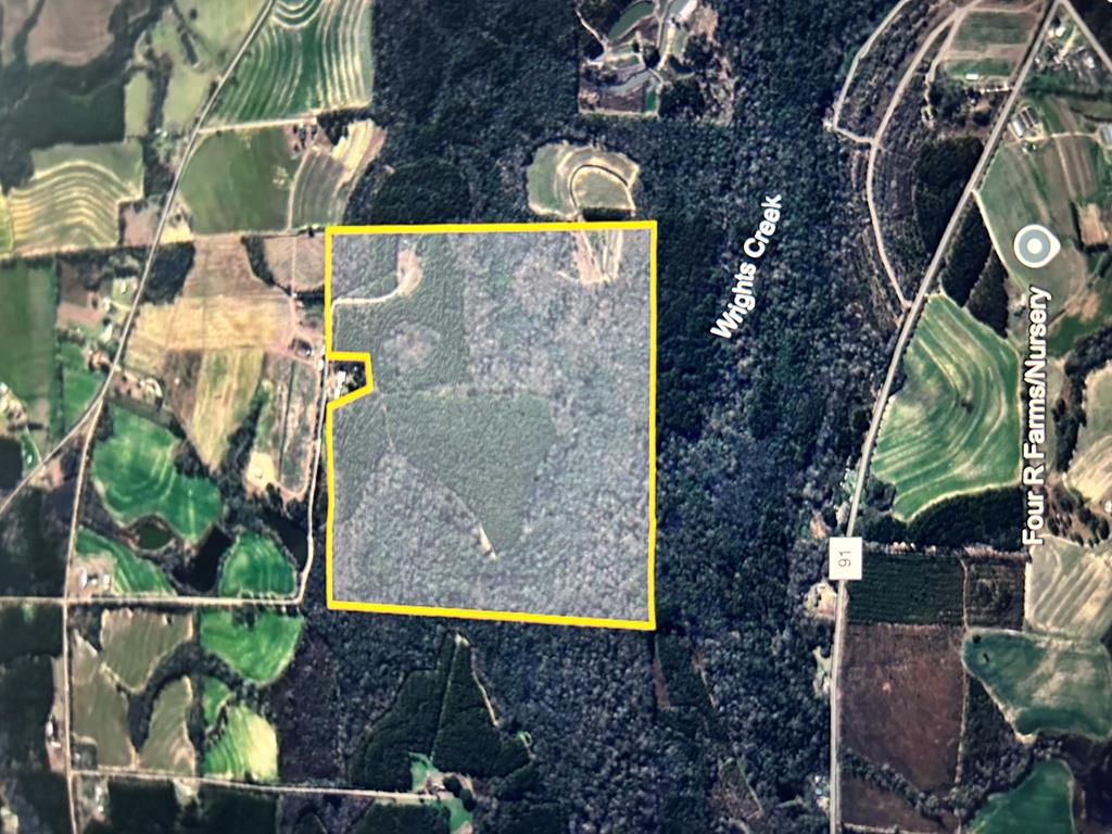923 Lakeview Rd, Slocomb, Alabama image 8
