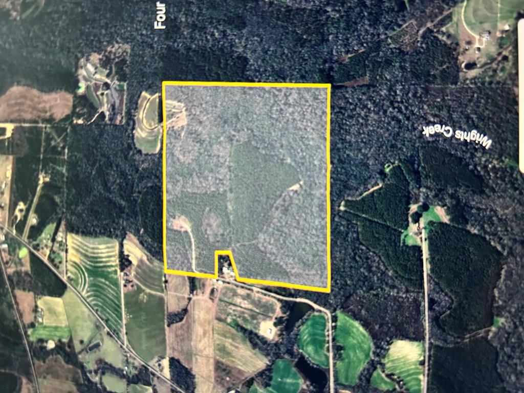 923 Lakeview Rd, Slocomb, Alabama image 9