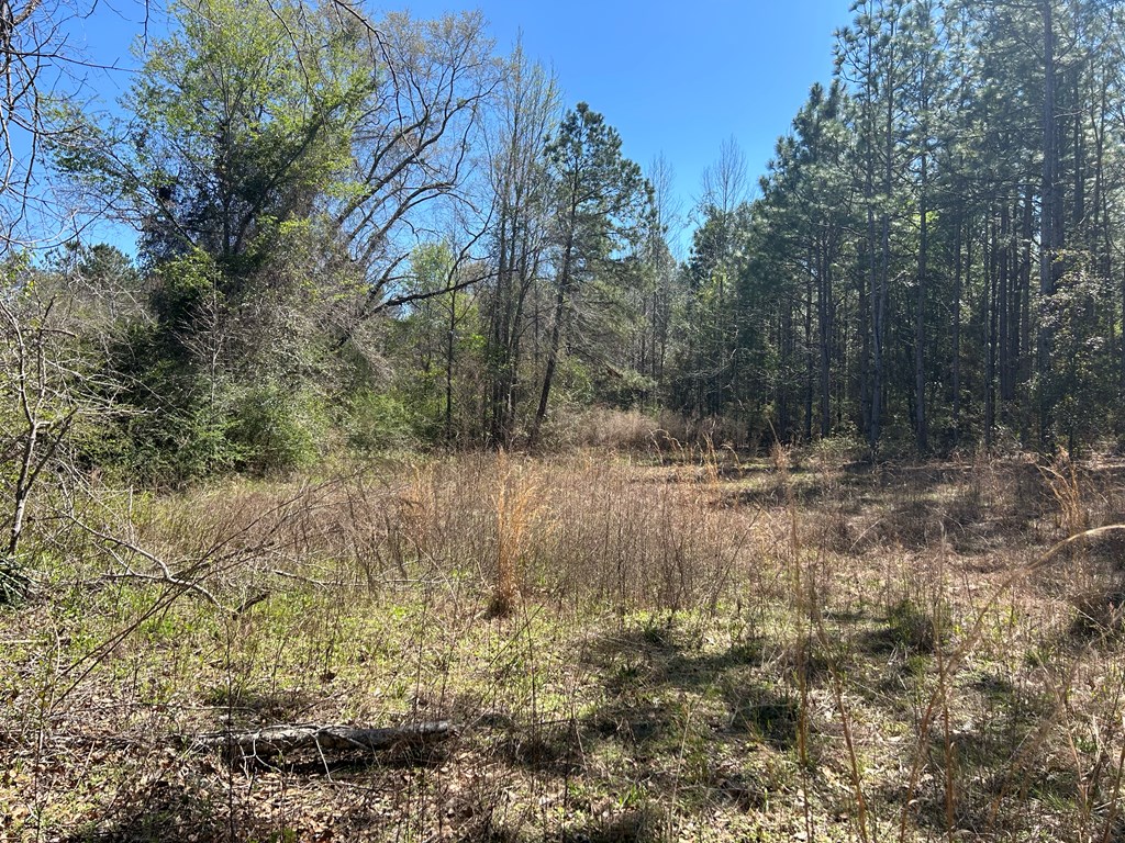 923 Lakeview Rd, Slocomb, Alabama image 38