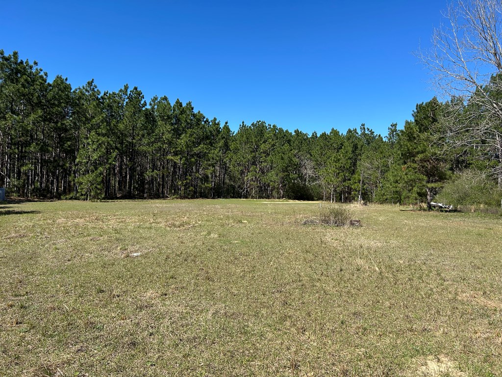 923 Lakeview Rd, Slocomb, Alabama image 21