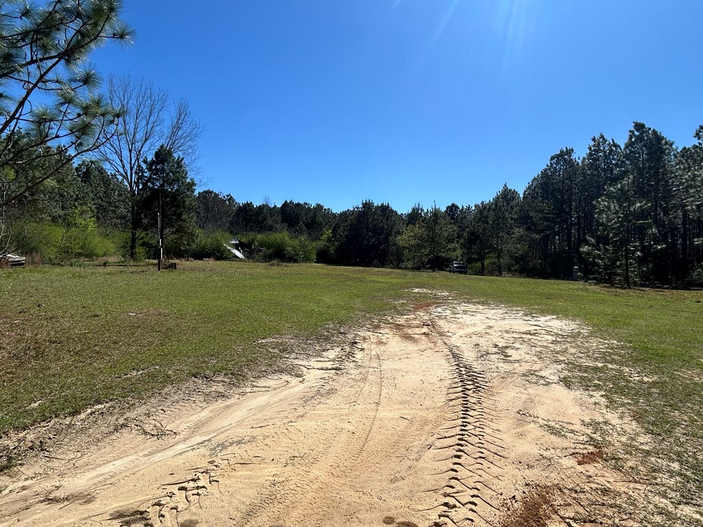 923 Lakeview Rd, Slocomb, Alabama image 15