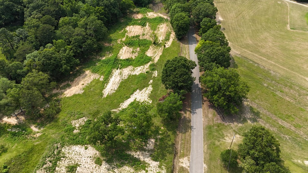 Lot 5 Block B County Road 20, Headland, Alabama image 3
