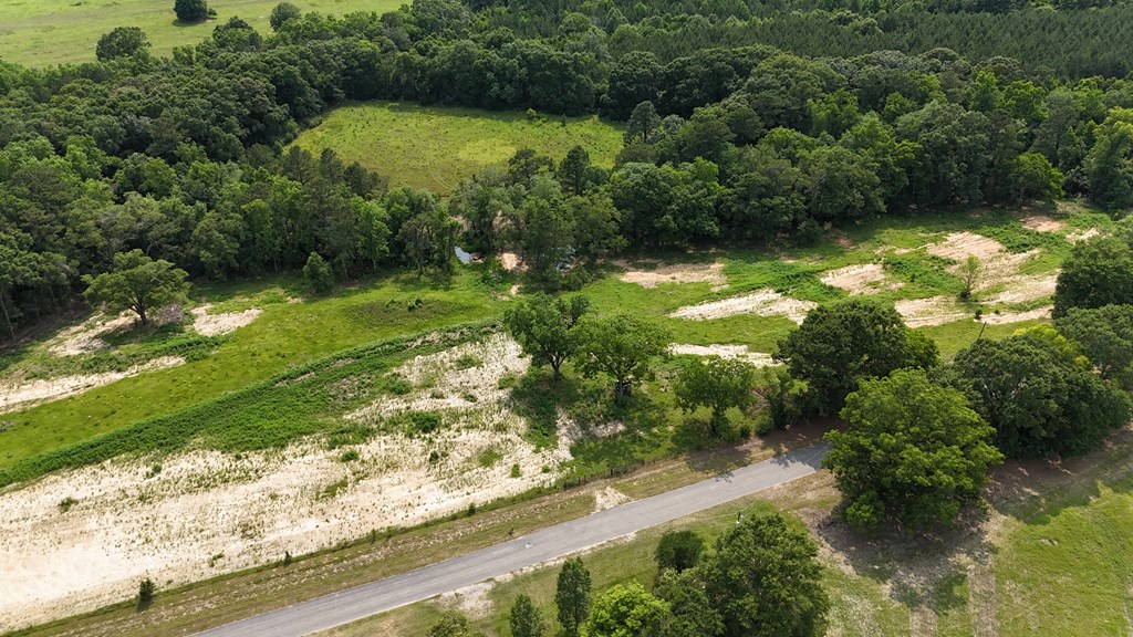 Lot 5 Block B County Road 20, Headland, Alabama image 2