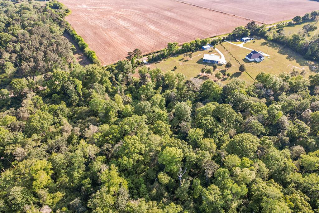 Bruner Pond Rd, Ashford, Alabama image 17