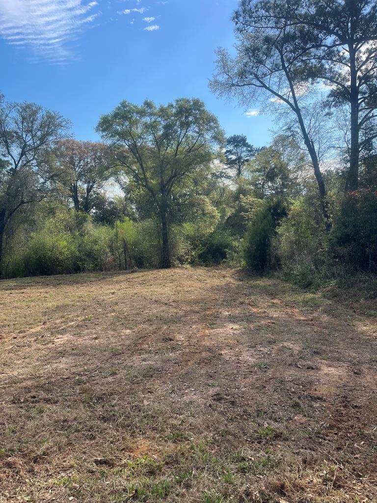 Bruner Pond Rd, Ashford, Alabama image 7