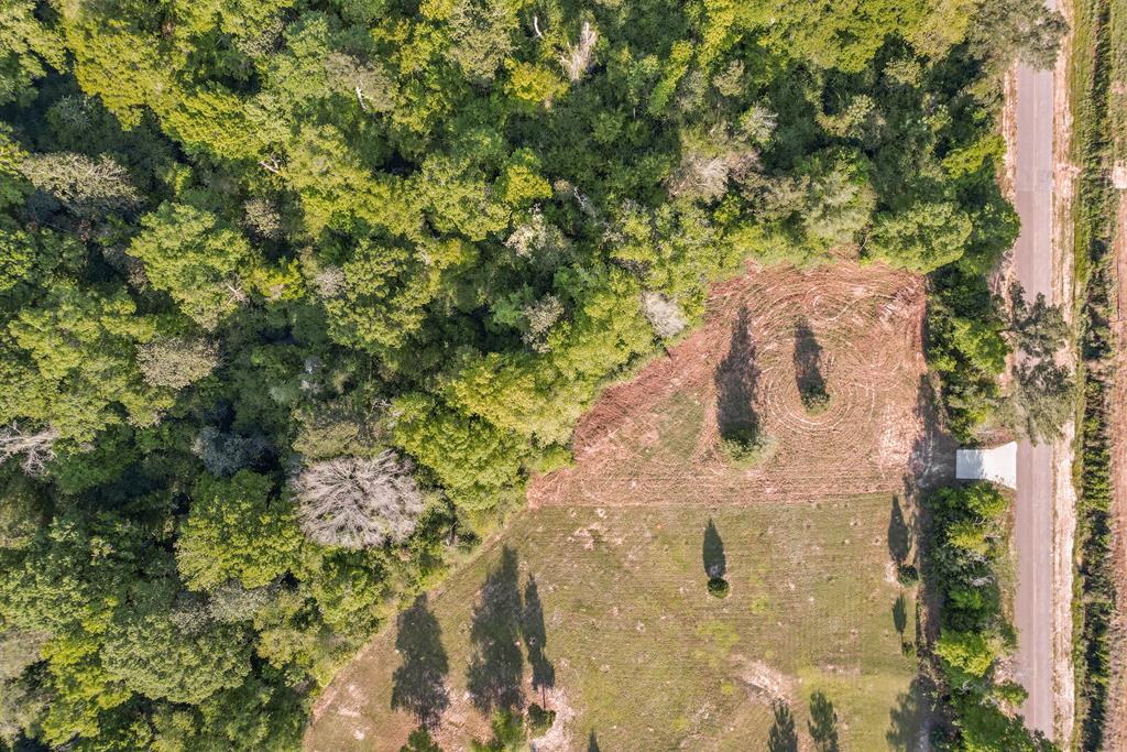 Bruner Pond Rd, Ashford, Alabama image 18