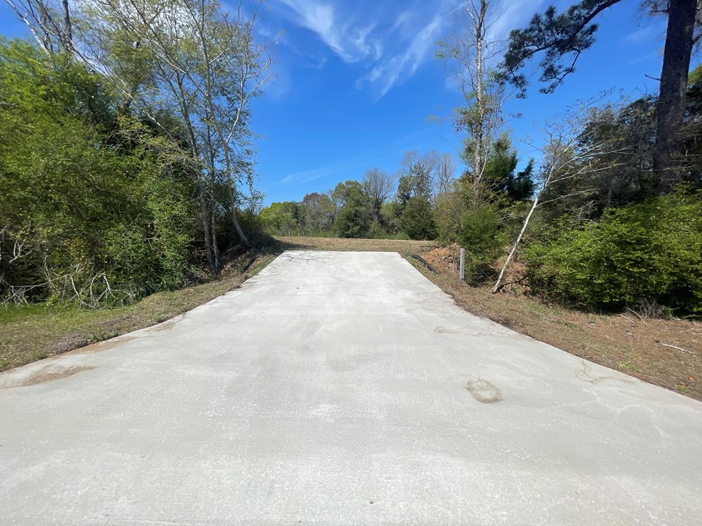 Bruner Pond Rd, Ashford, Alabama image 8