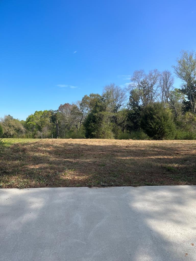 Bruner Pond Rd, Ashford, Alabama image 4