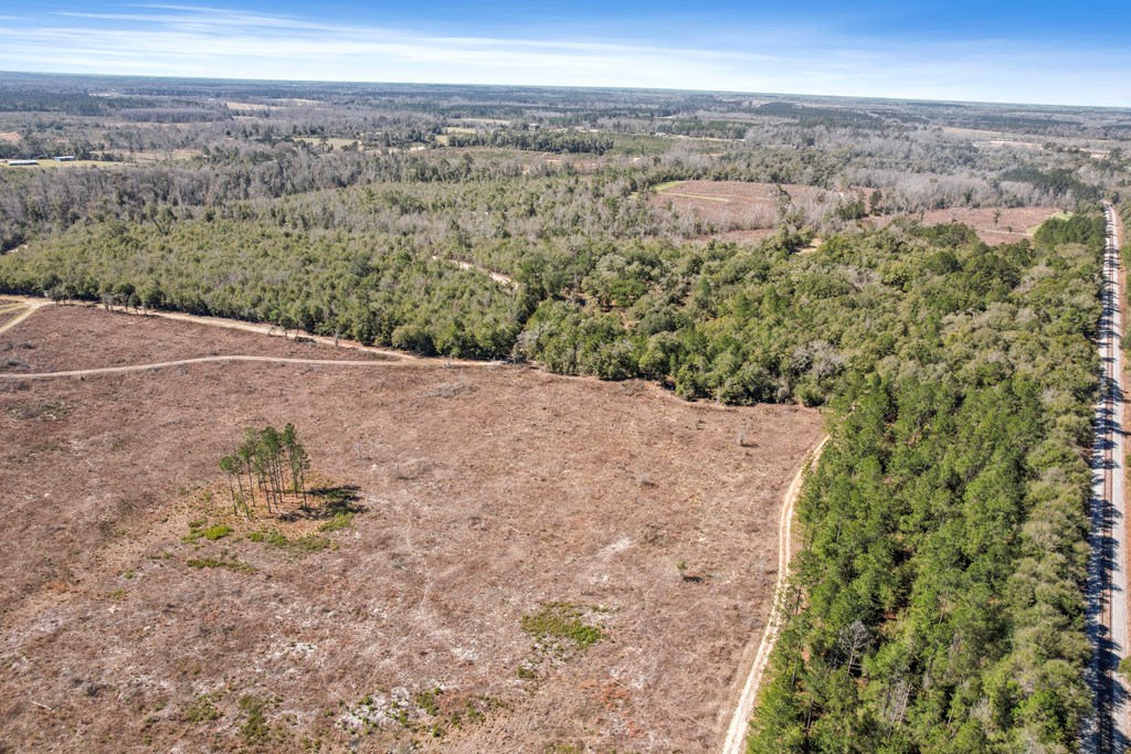 County Road 95, Gordon, Alabama image 46