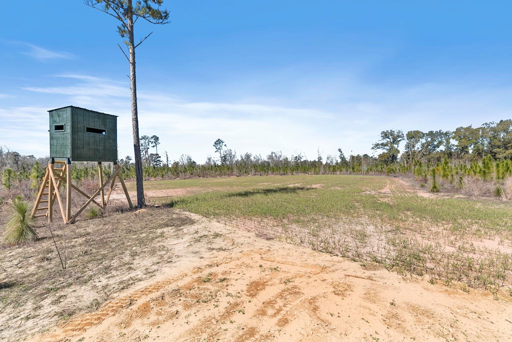 County Road 95, Gordon, Alabama image 32