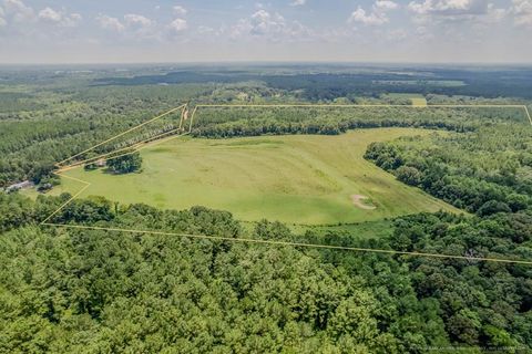 Vacant Land For Sale - Land<br/> Geneva County, Coffee Springs, AL 36318