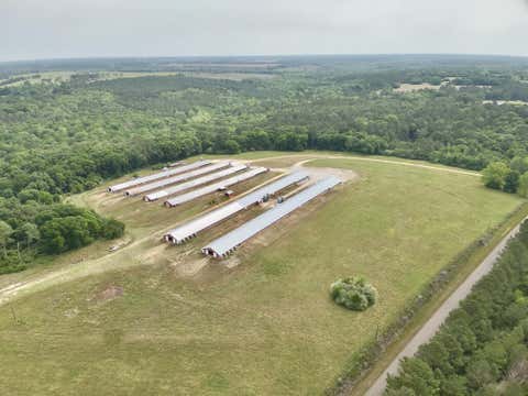 Vacant Land For Sale - 2065 County Road 6<br/> Geneva County, Black, AL 36344