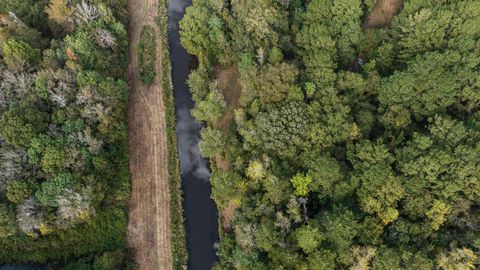 Vacant Land For Sale - Co Rd 53<br/> Abbeville, AL 36319