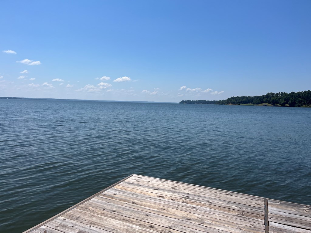 1651 Lakefront, Abbeville, Alabama image 22