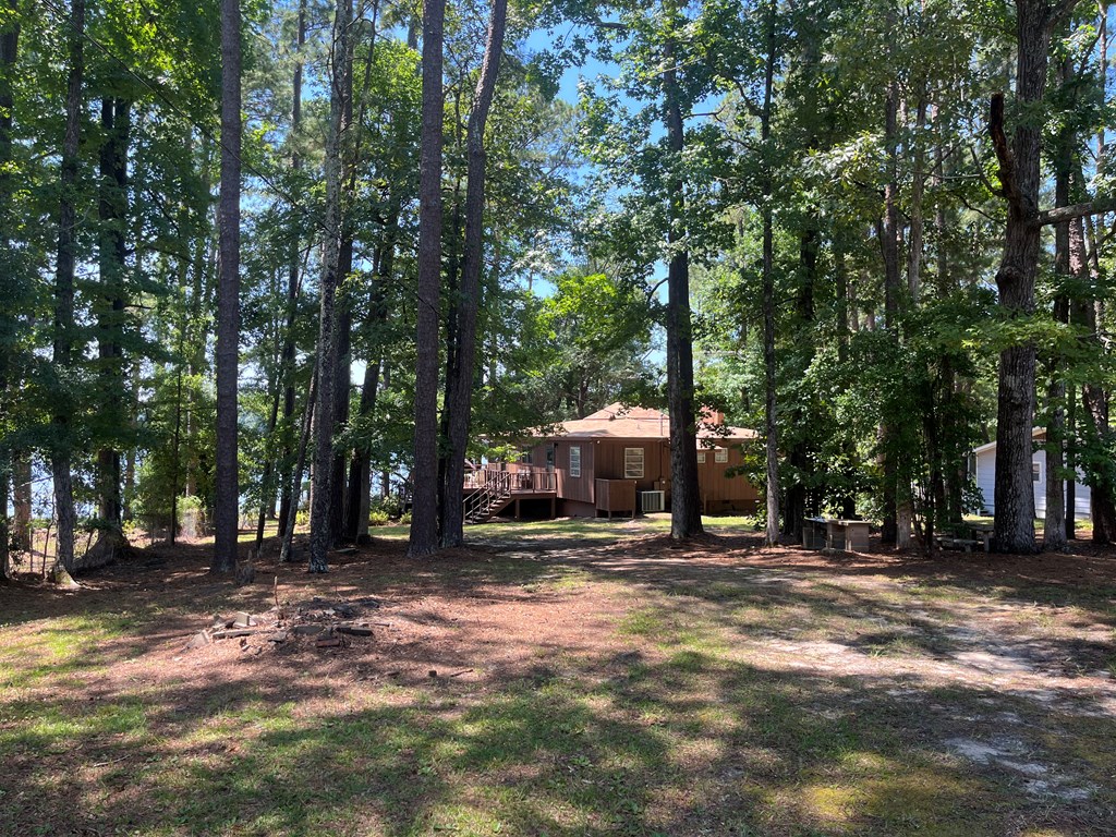 1651 Lakefront, Abbeville, Alabama image 18