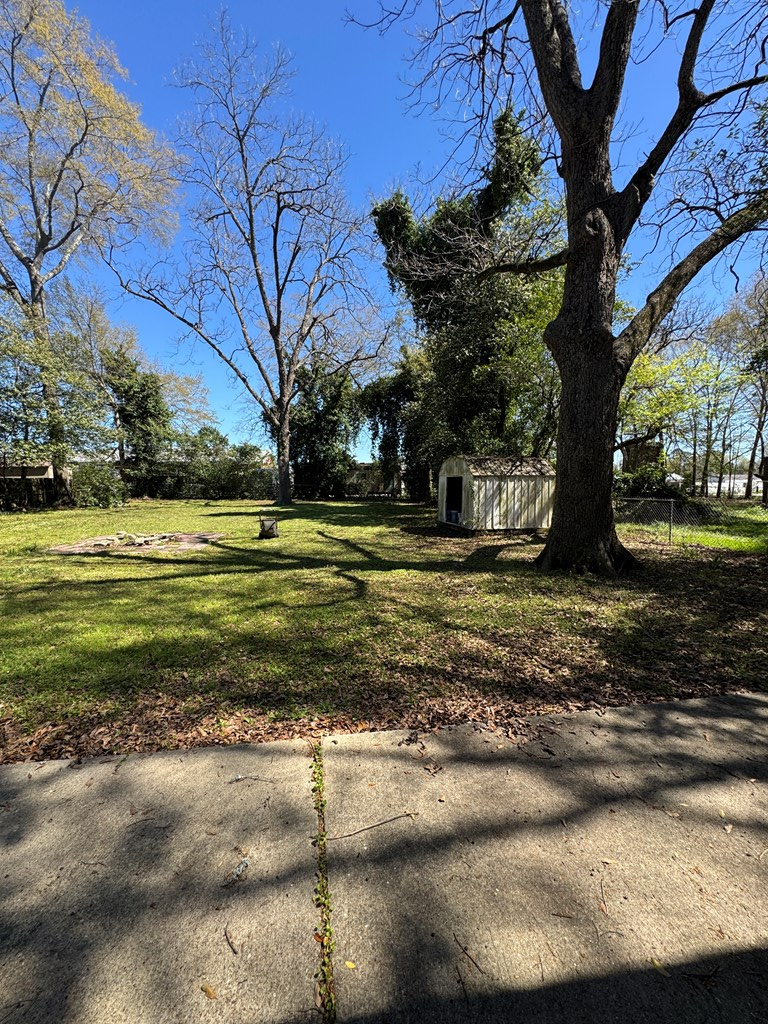 405 Cleveland St, Headland, Alabama image 18