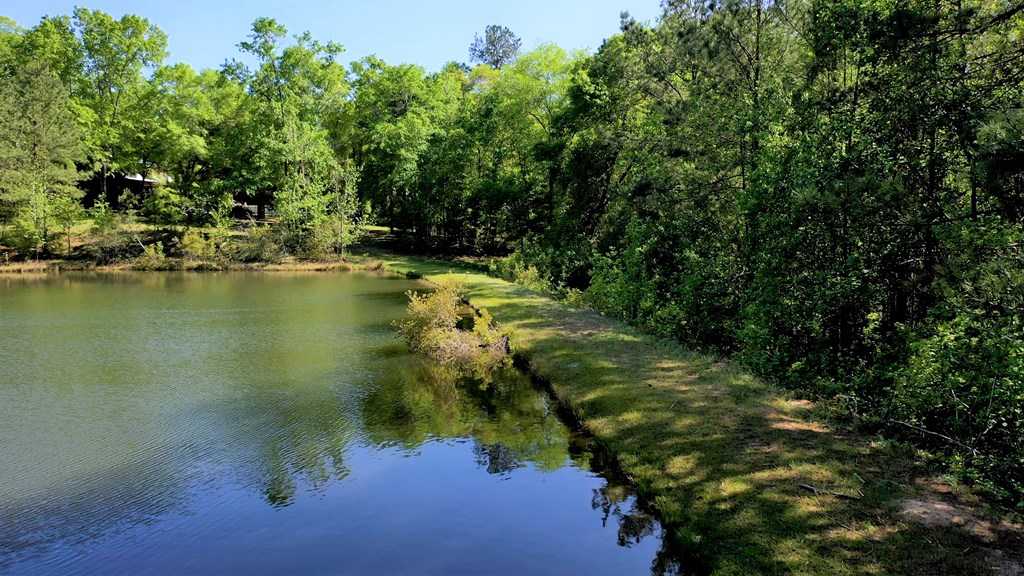 Cotton Hill Road, Eufaula, Alabama image 9