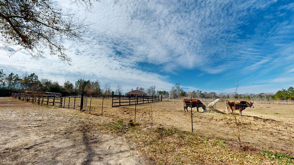 Dothan, Alabama 36301, United States, 4 Bedrooms Bedrooms, ,4 BathroomsBathrooms,Residential,Active,12000