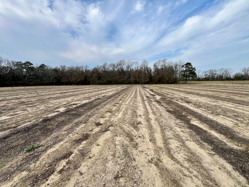 8+/- Acres N State Hwy 103, Slocomb, Alabama image 12