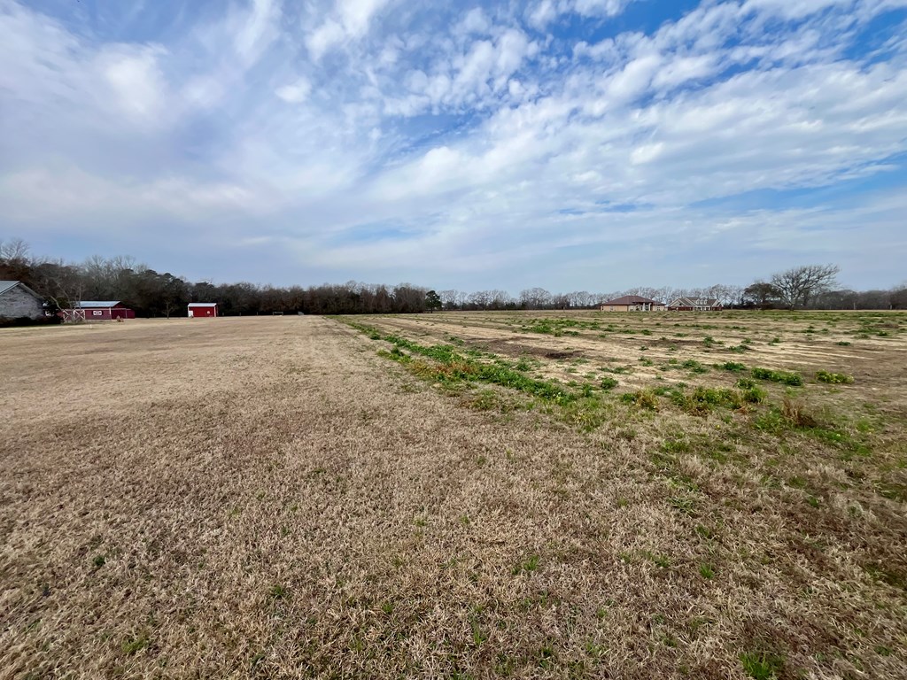 8+/- Acres N State Hwy 103, Slocomb, Alabama image 9