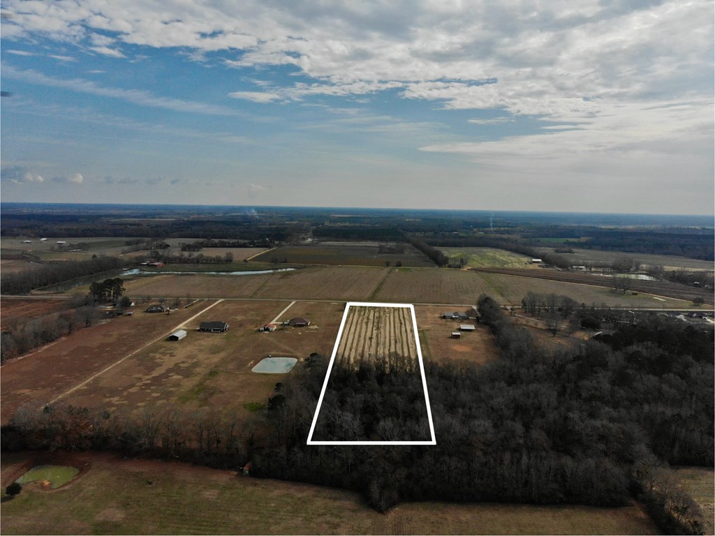 8+/- Acres N State Hwy 103, Slocomb, Alabama image 3