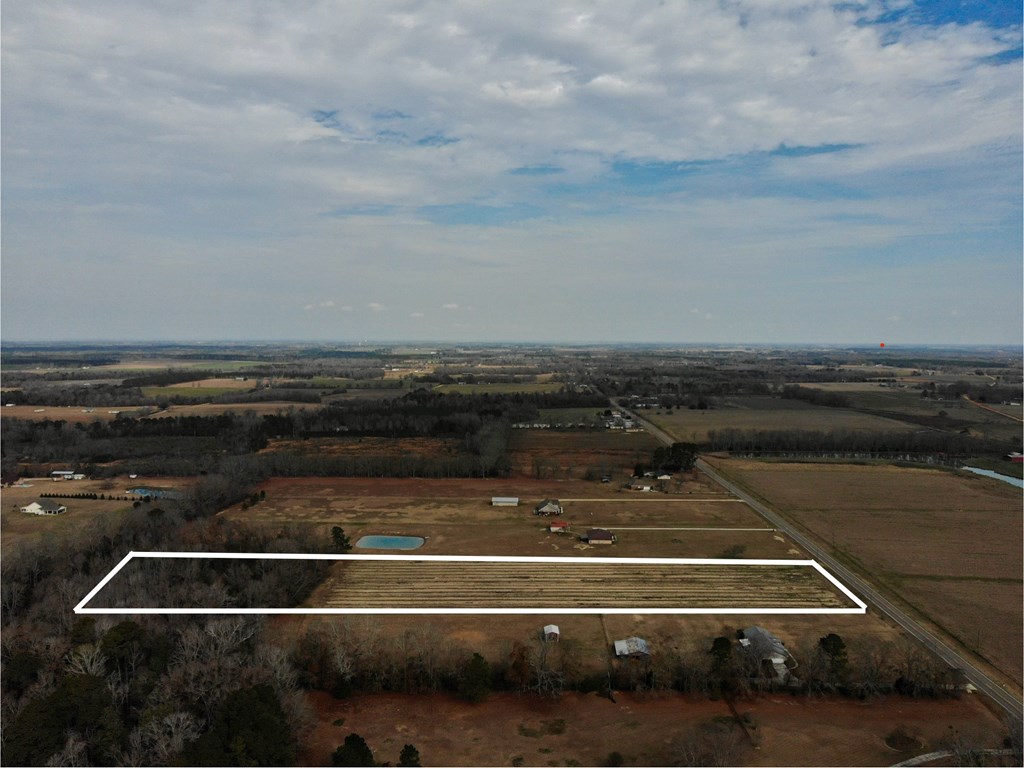 8+/- Acres N State Hwy 103, Slocomb, Alabama image 4