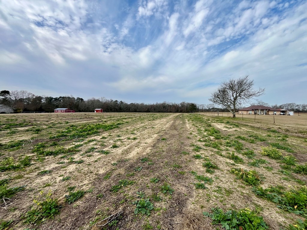 8+/- Acres N State Hwy 103, Slocomb, Alabama image 8