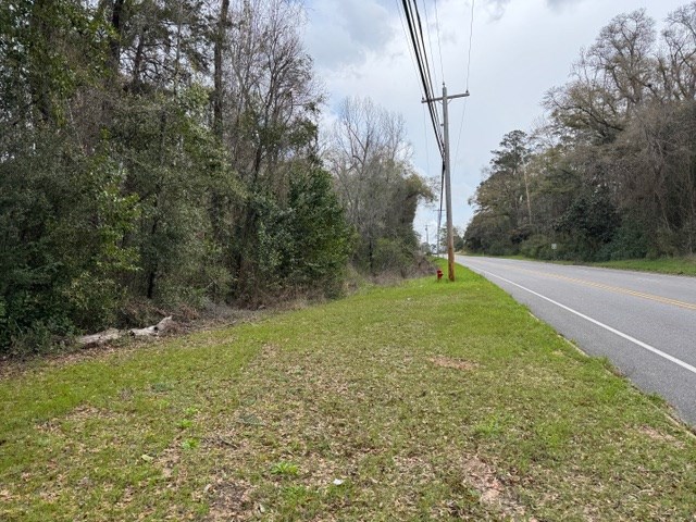 Davis Street, Elba, Alabama image 2