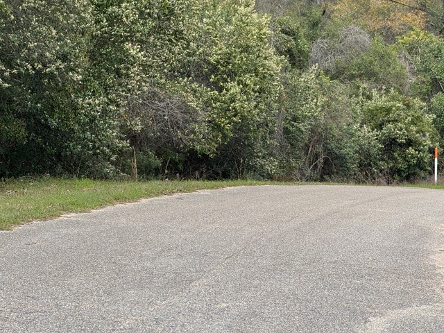 Davis Street, Elba, Alabama image 11