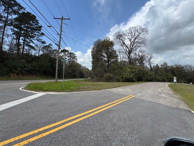 Davis Street, Elba, Alabama image 9