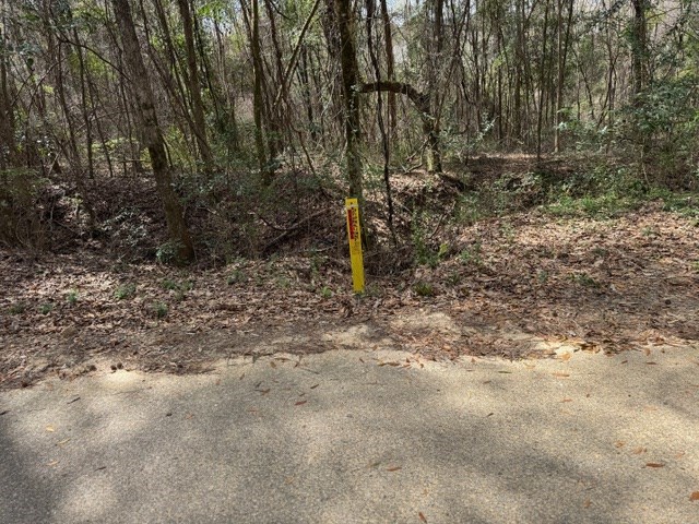 Davis Street, Elba, Alabama image 13