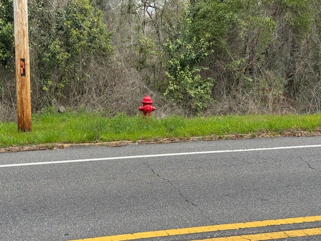 Davis Street, Elba, Alabama image 6