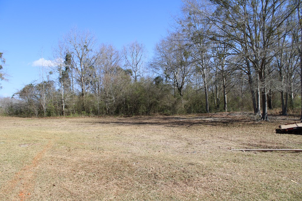 146 County Road 657, Chancellor, Alabama image 26