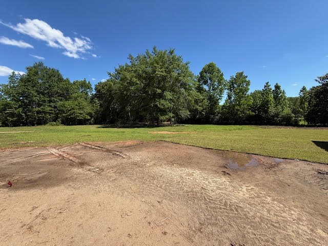 146 County Road 657, Chancellor, Alabama image 37