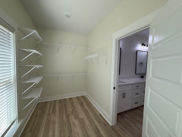 146 County Road 657, Chancellor, Alabama image 26