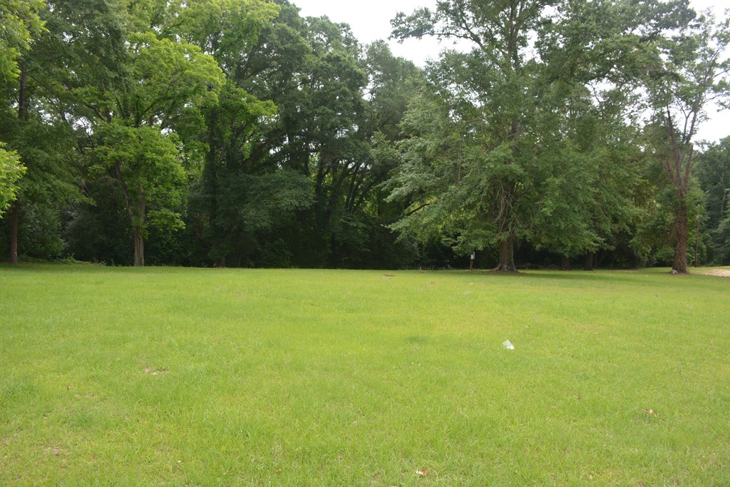 Lot 12 Highway 87, Troy, Alabama image 4