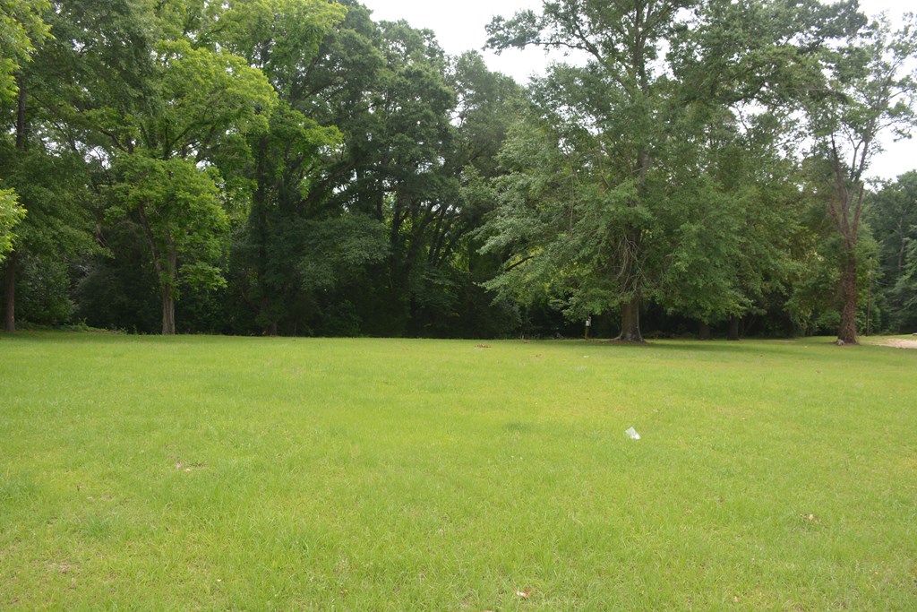 Lot 12 Highway 87, Troy, Alabama image 3
