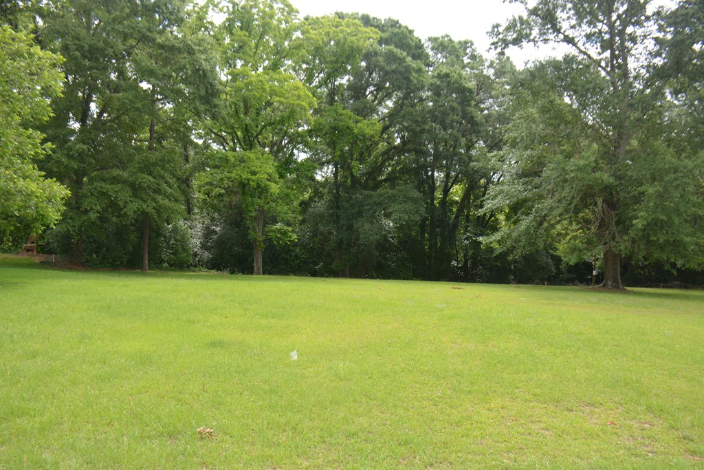 Lot 12 Highway 87, Troy, Alabama image 5