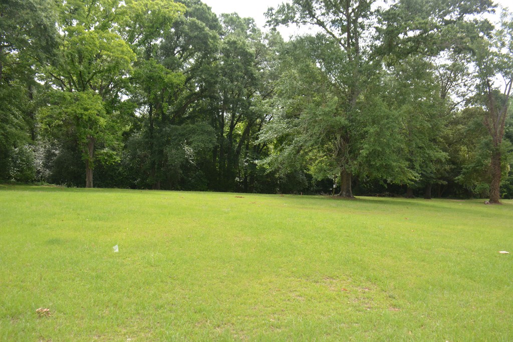 Lot 12 Highway 87, Troy, Alabama image 8