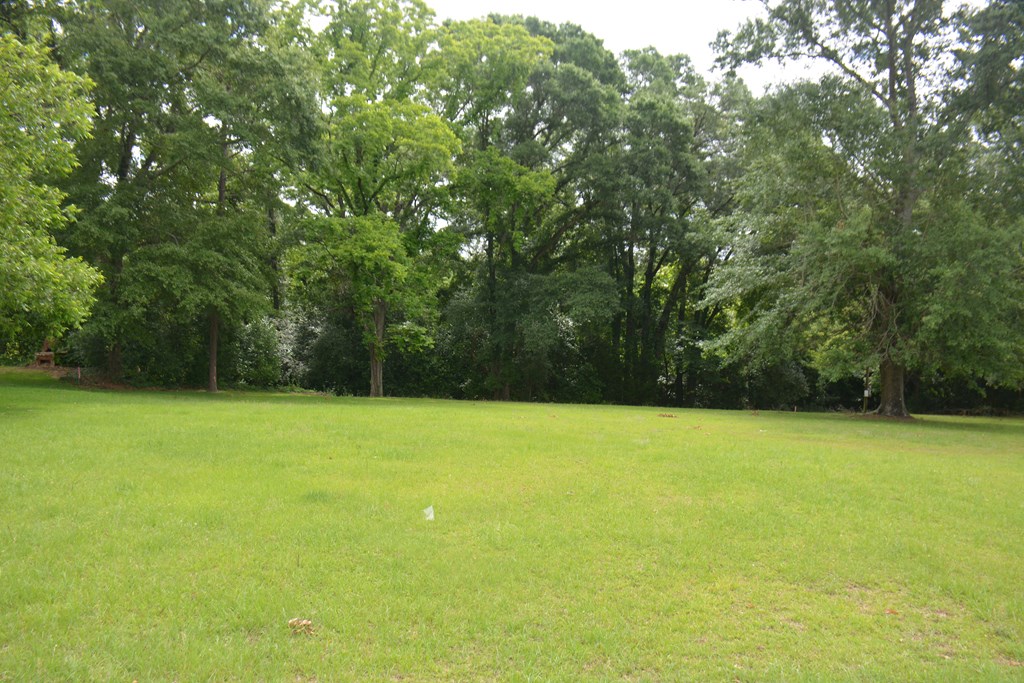 Lot 12 Highway 87, Troy, Alabama image 6