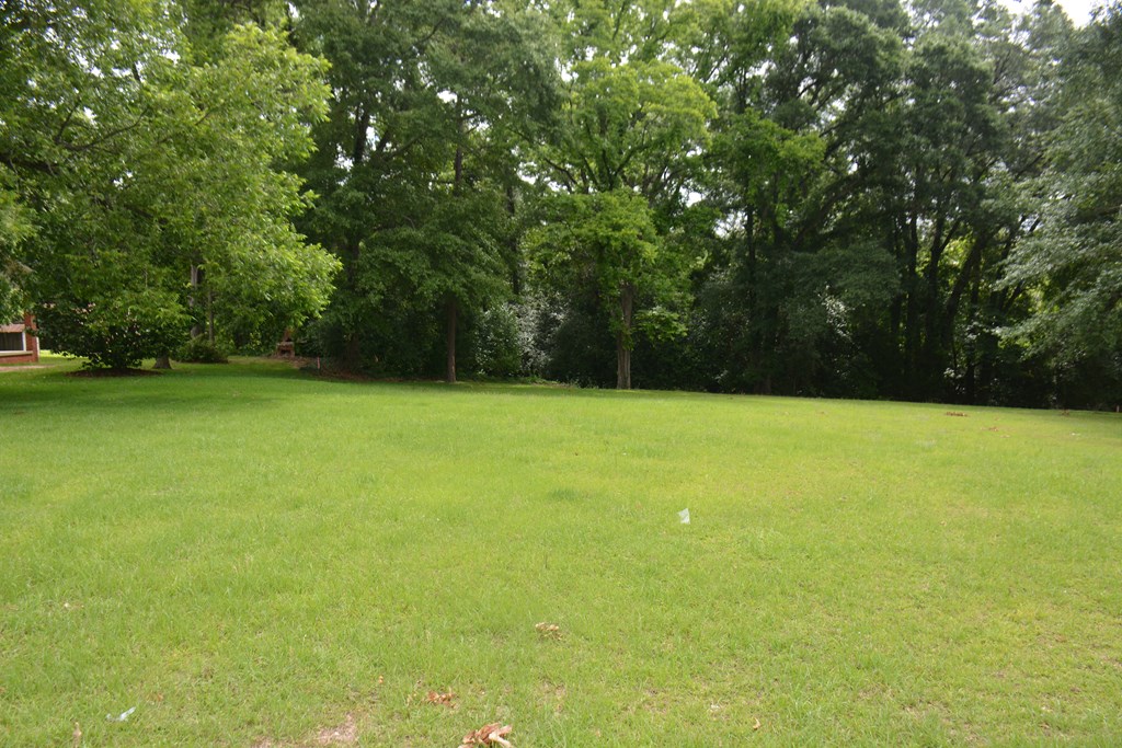 Lot 12 Highway 87, Troy, Alabama image 7