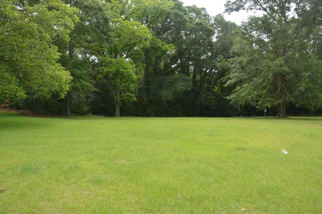 Lot 12 Highway 87, Troy, Alabama image 1