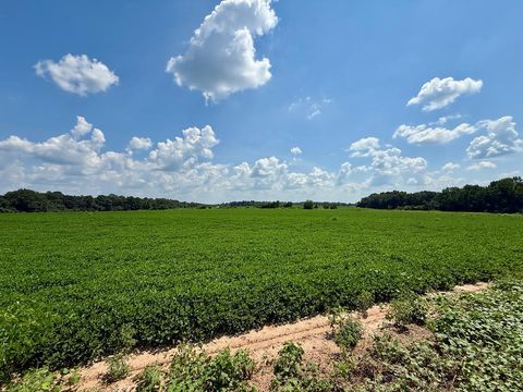 Vacant Land For Sale - Judge Logue Road<br/> Newton, AL 36352