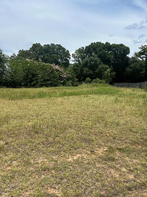 Vacant Land For Sale - 300 Rosa Lane<br/> Dale County, Midland City, AL 36350