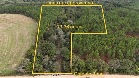 Vacant Land For Sale - Land<br/> Geneva County, Dothan, AL 36301