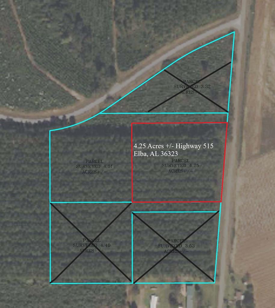4.25 Ac County Road 515, Elba, Alabama image 1