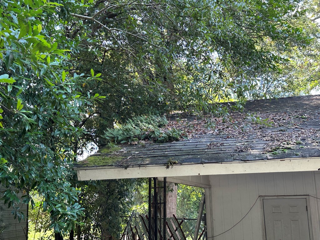 391 Highland Ave, Ozark, Alabama image 19