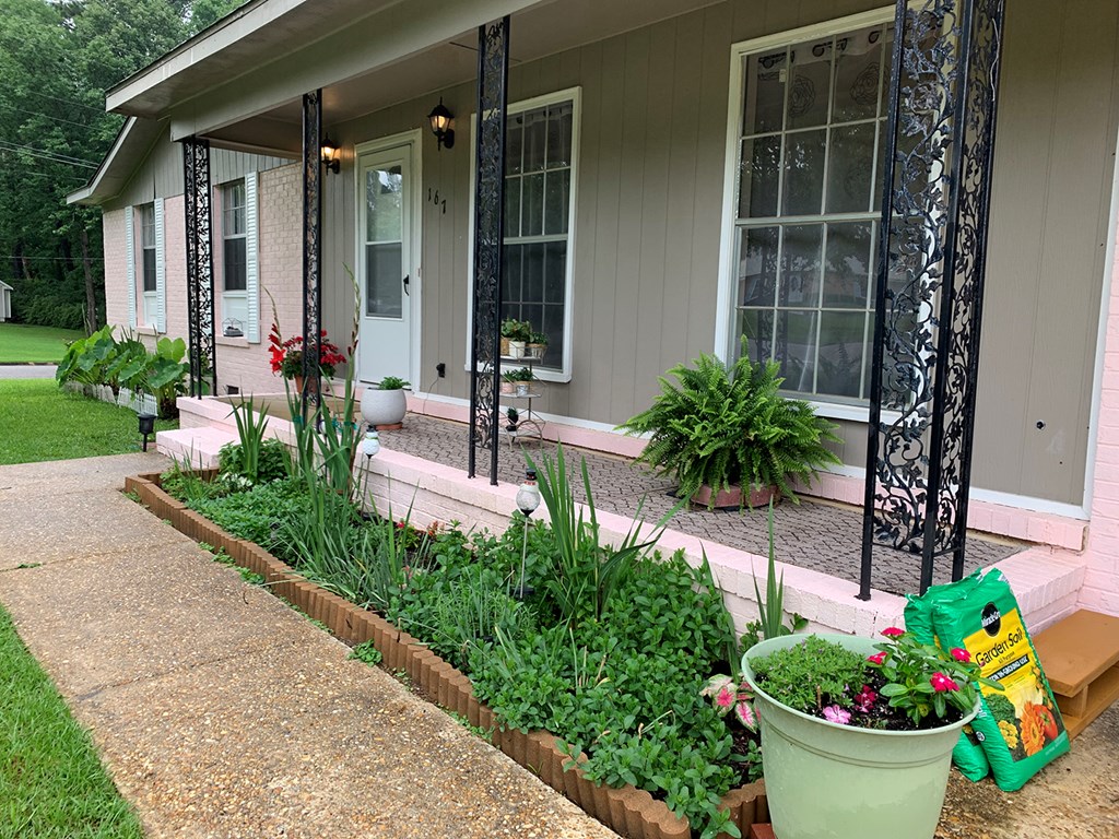167 Stephanie, Ozark, Alabama image 2