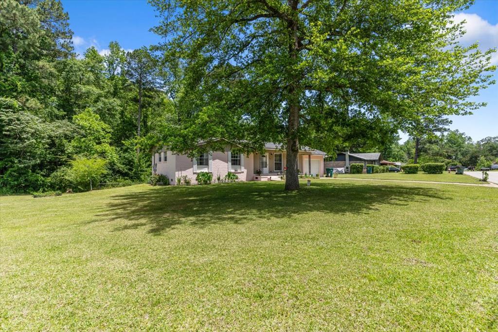 167 Stephanie, Ozark, Alabama image 44