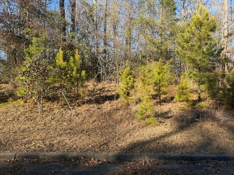 Vacant Land For Sale - Pierces Station 46c<br/> Ozark, AL 36360